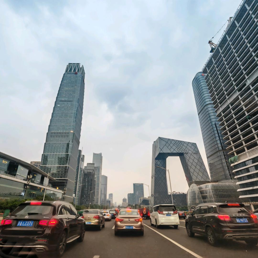 🐯九道轮回🐯