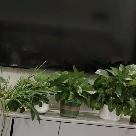 优选好物