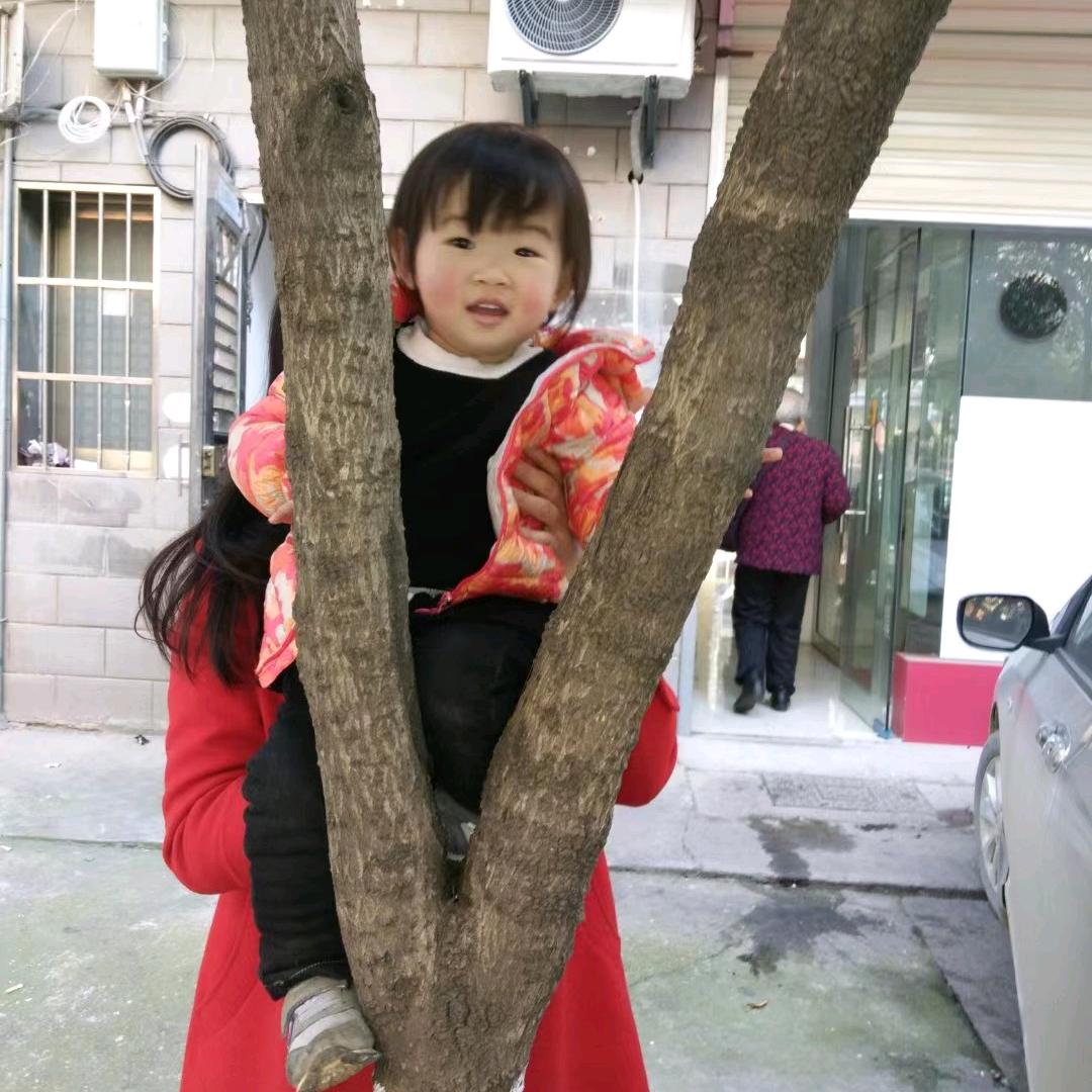 锦玄