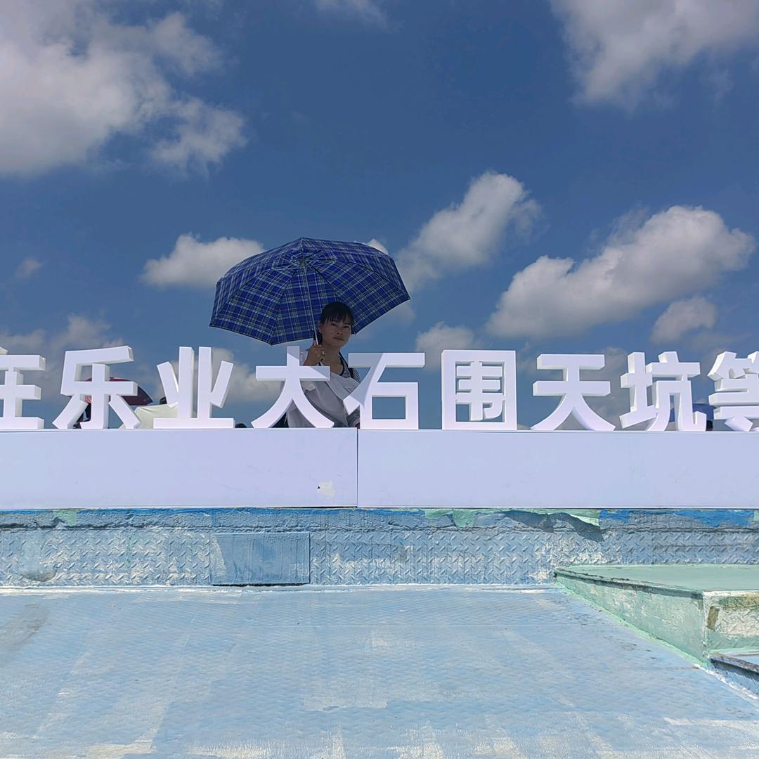 单只蝴蝶