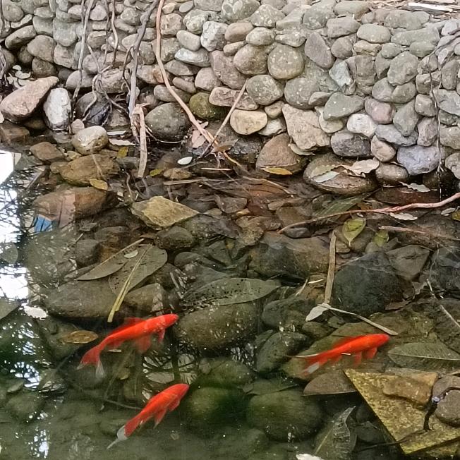 走稳以后的路，不枉此生