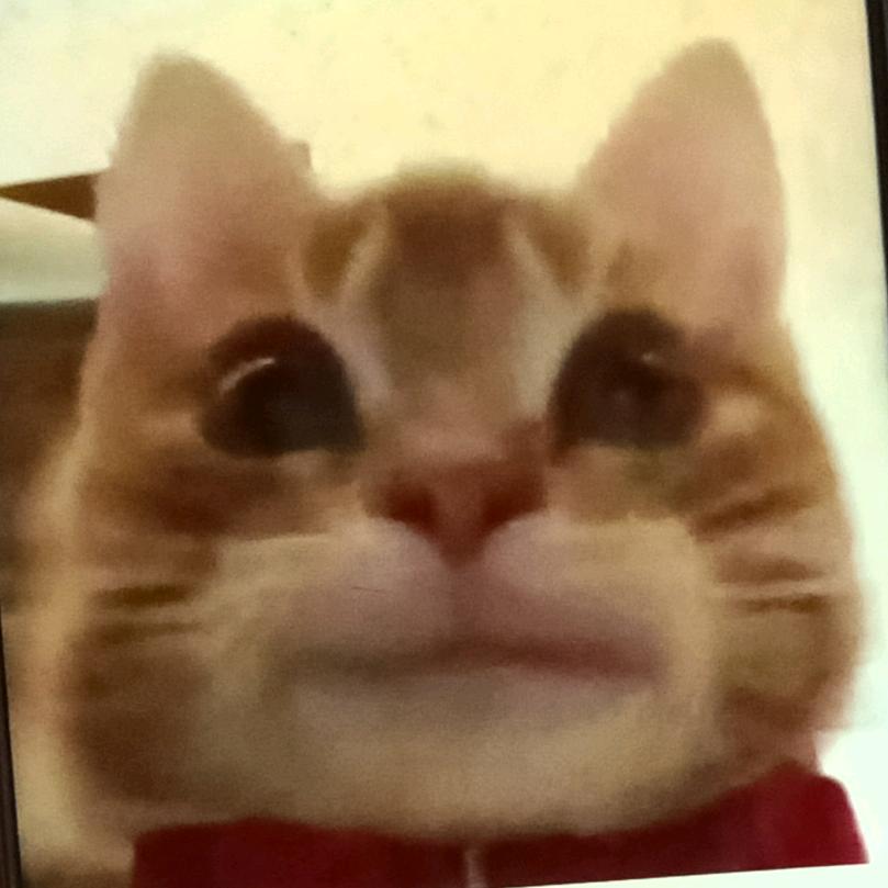 奈桃