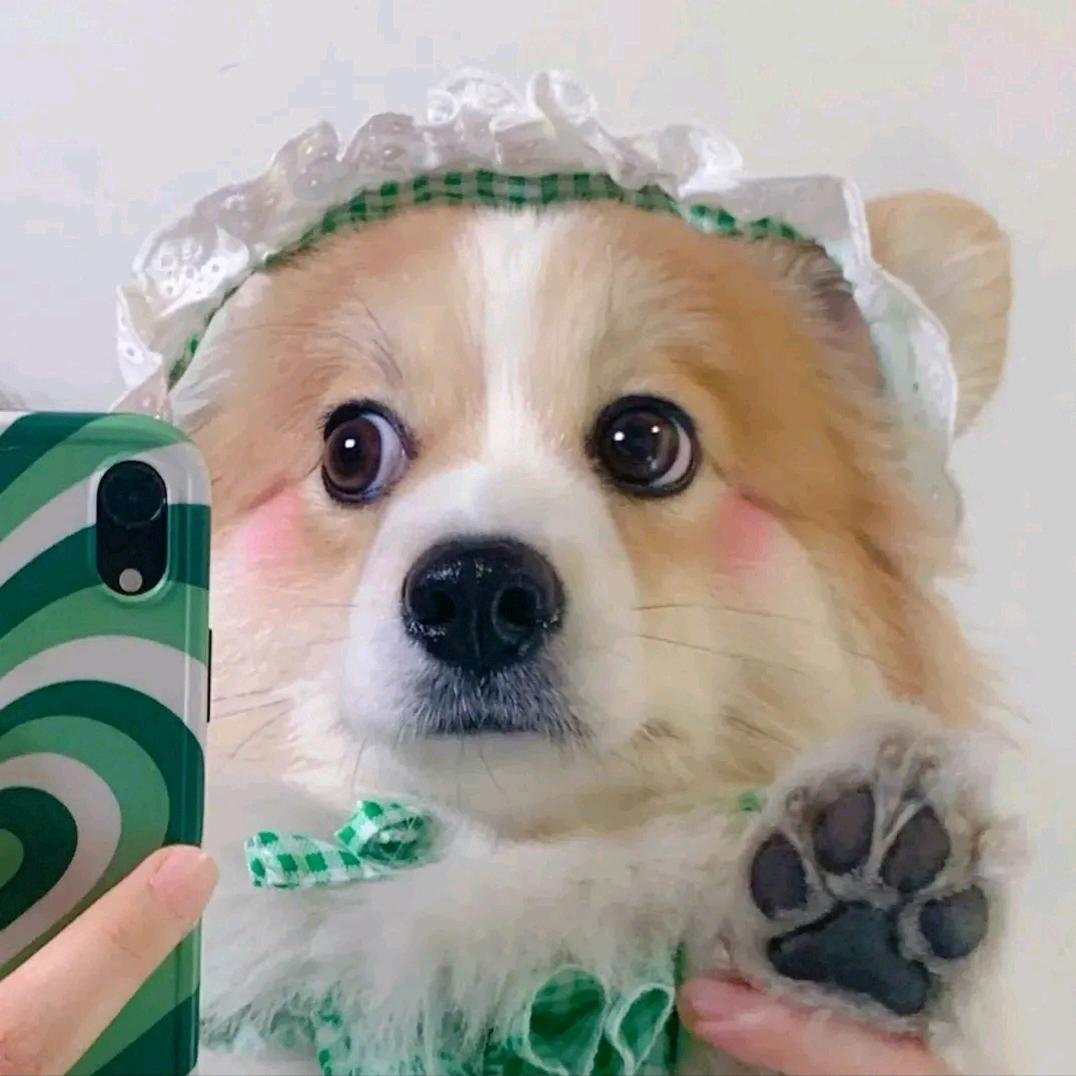 小云逸