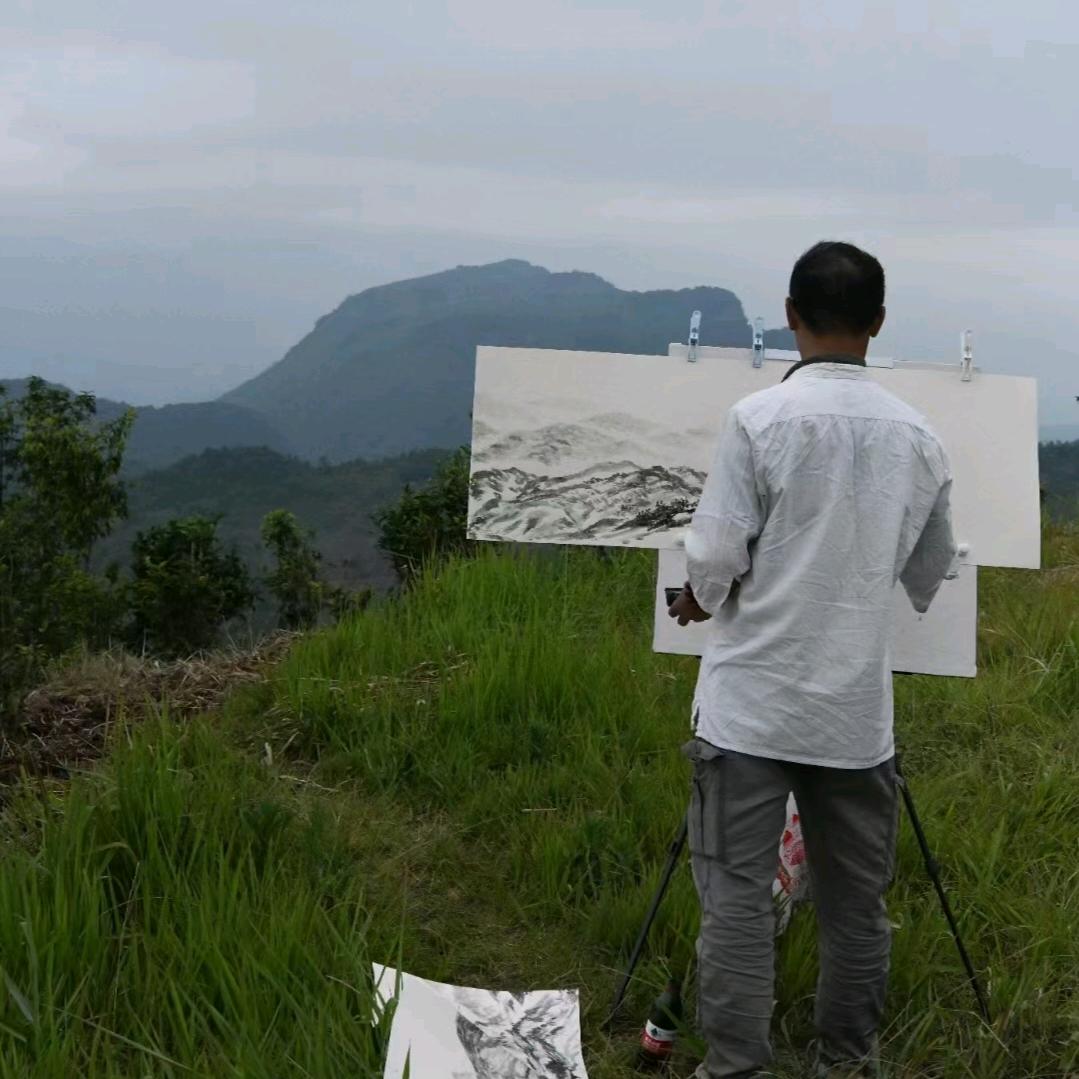 古树哥