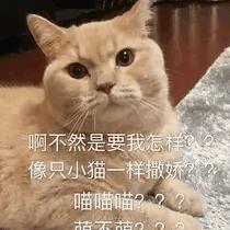 圣火猫猫教（戒谷）