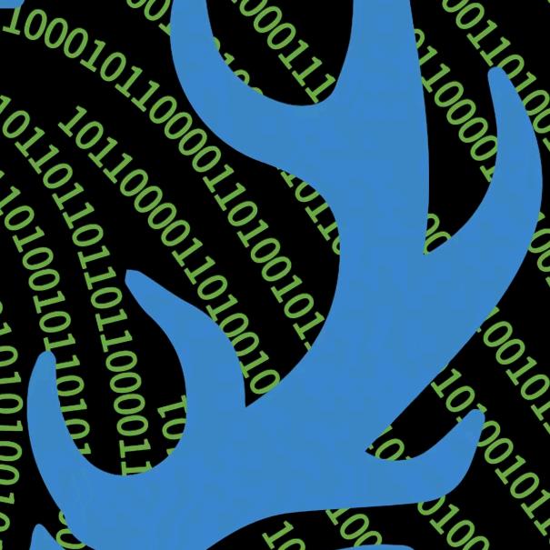 路行者数码 XR改机专家