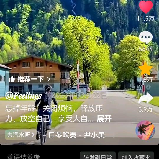 魅力风华