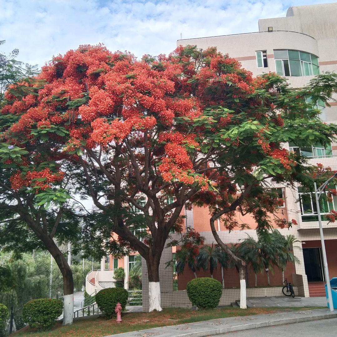 匠者仁心头像