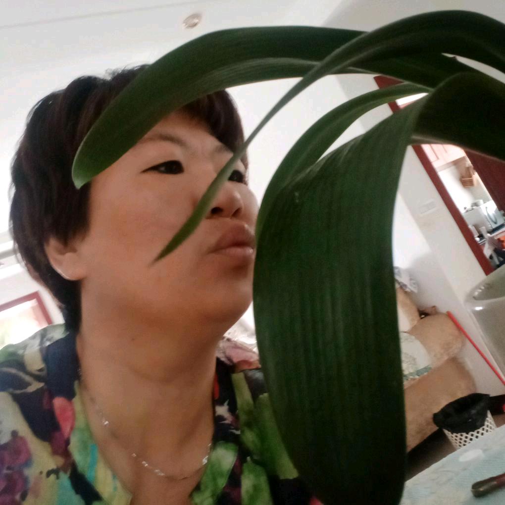 梁容