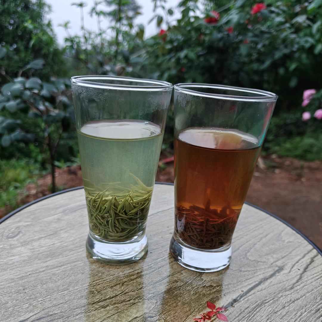 溢香信阳毛尖浉河港