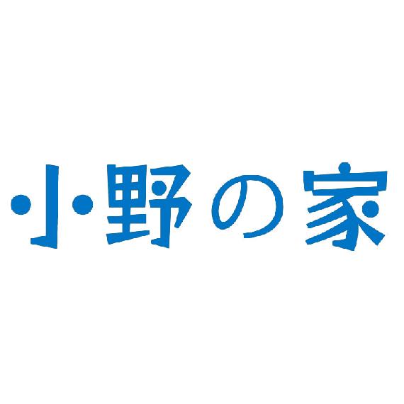 小野家精选女鞋