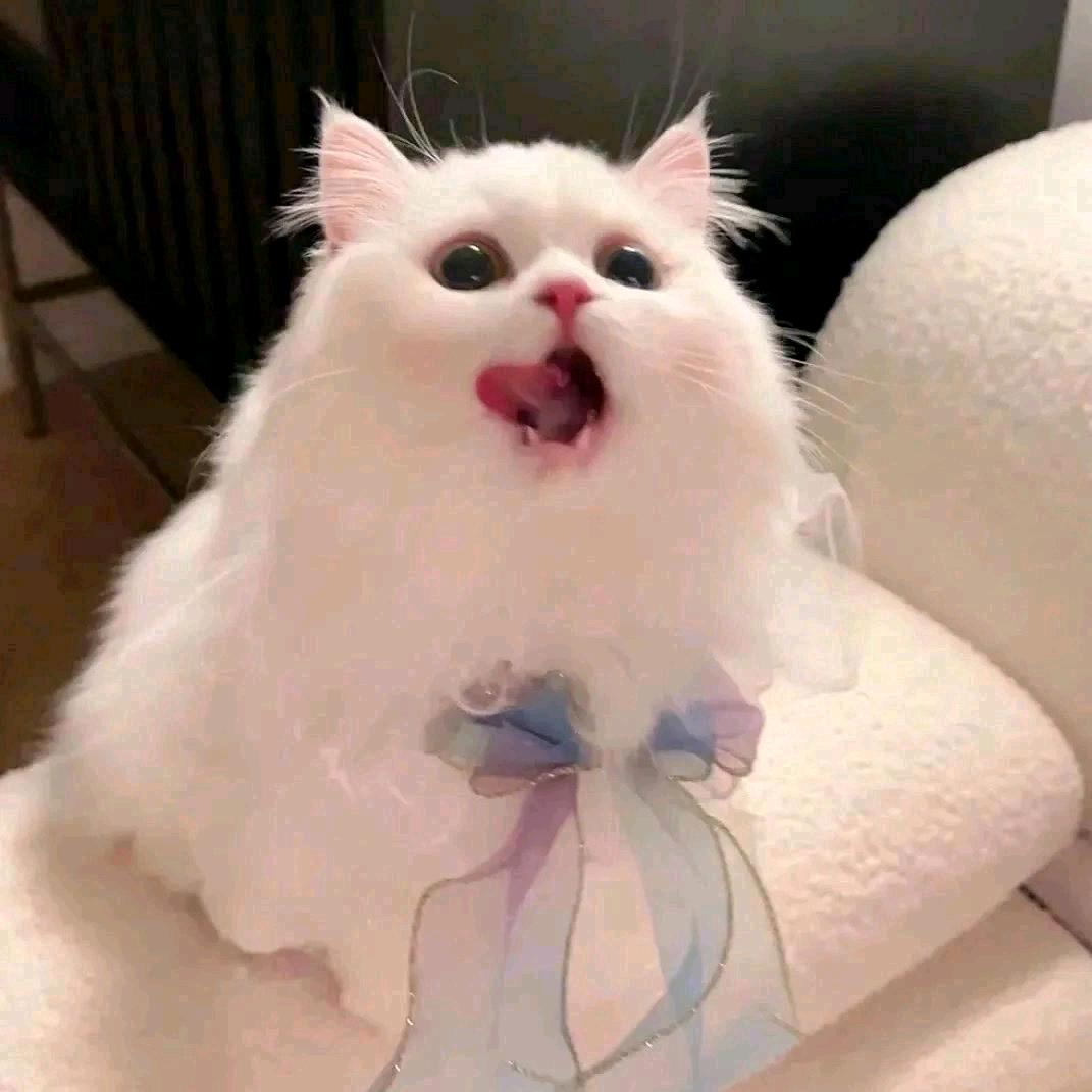 @@寻水的鱼~~