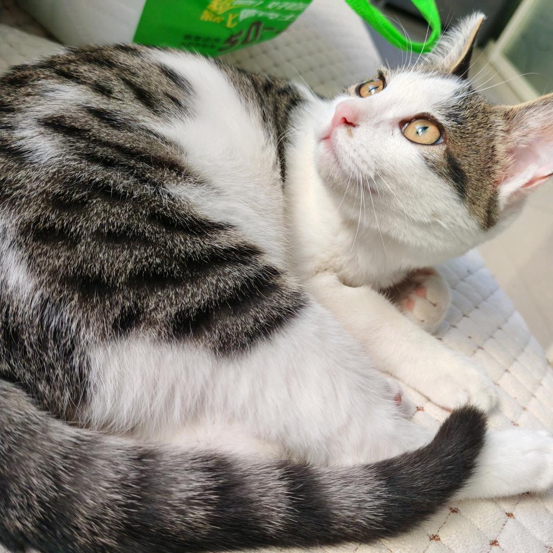 人间正道是沧桑！