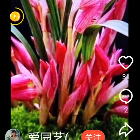 王朝前