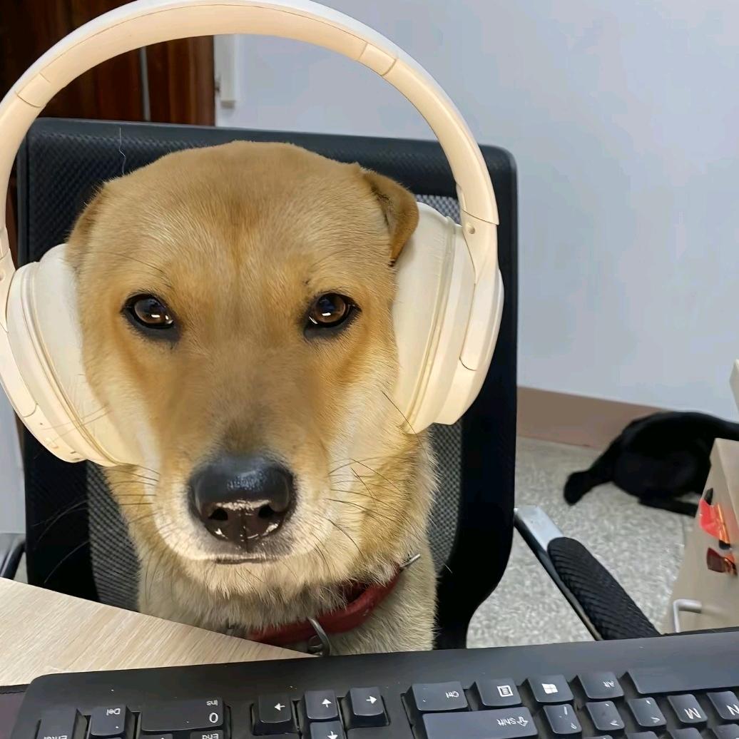 Zhuqy