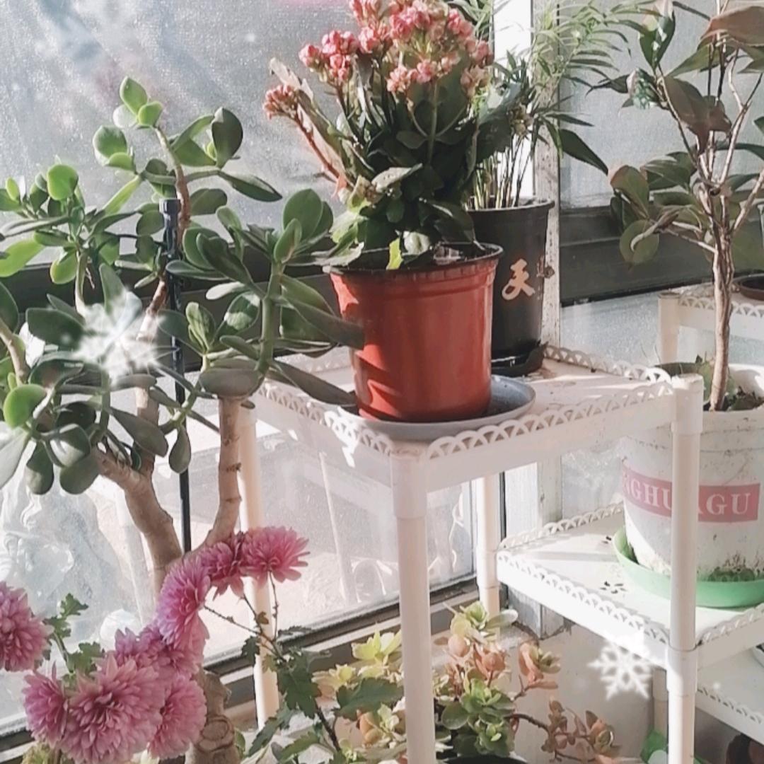 春和景明