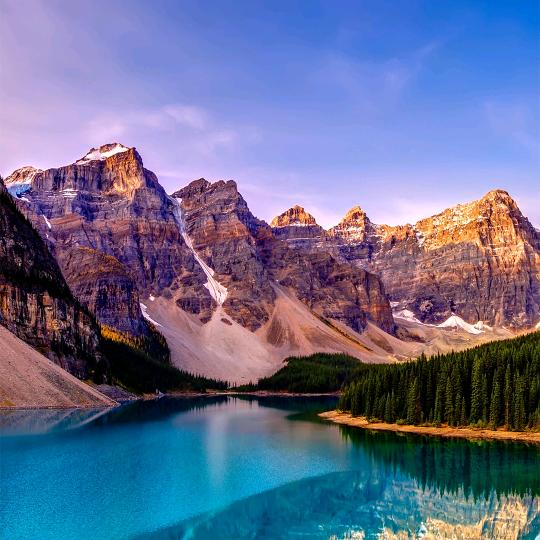 春天的狗尾巴花