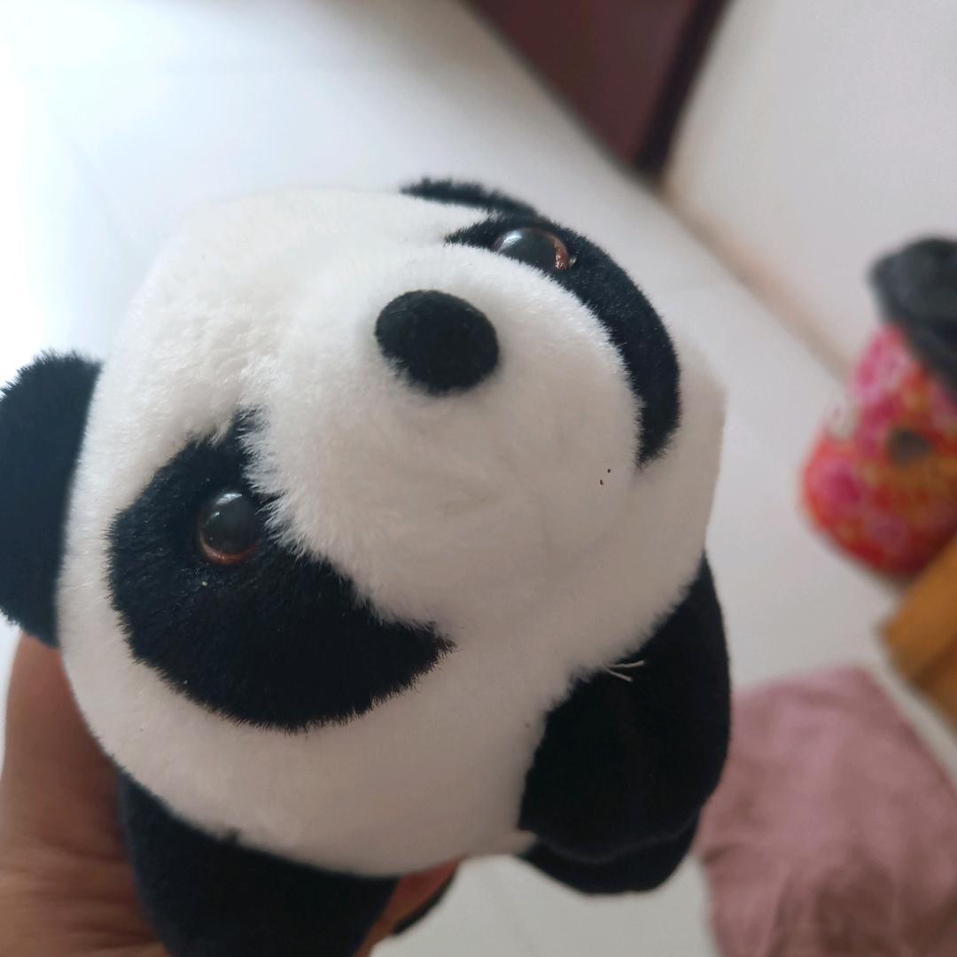 ꦿ微꧔ꦿ🕊笑᭄💞꧔前᭄行