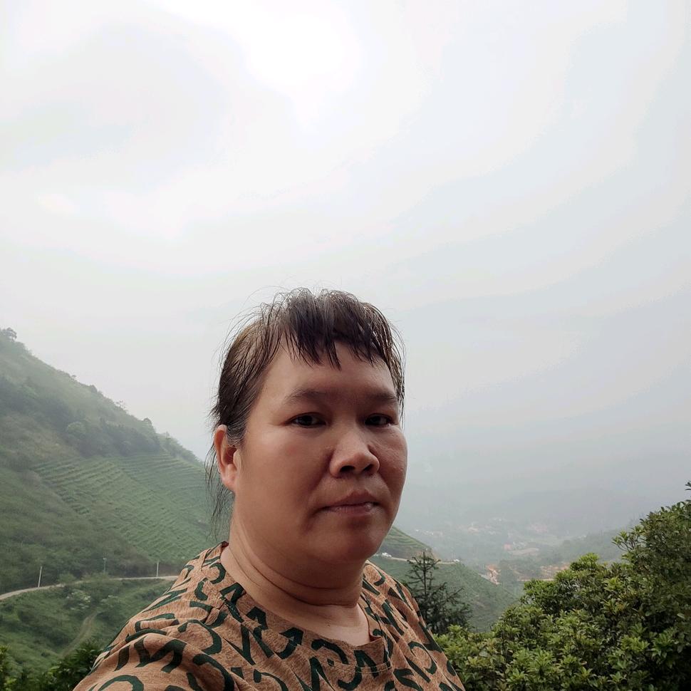 杨-