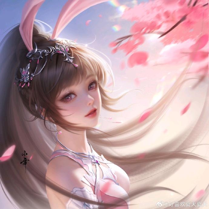 猎头部的故事