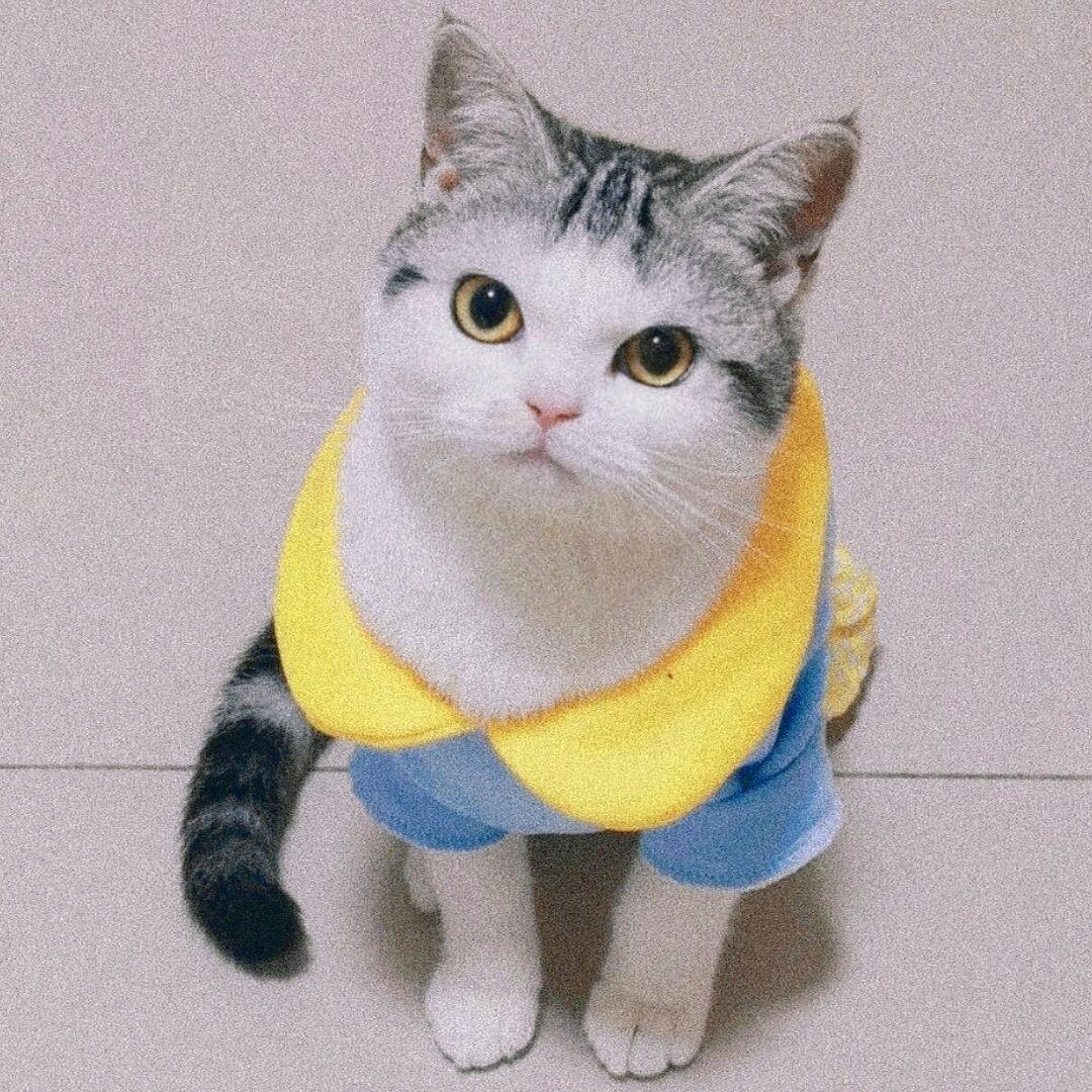 十元和雪