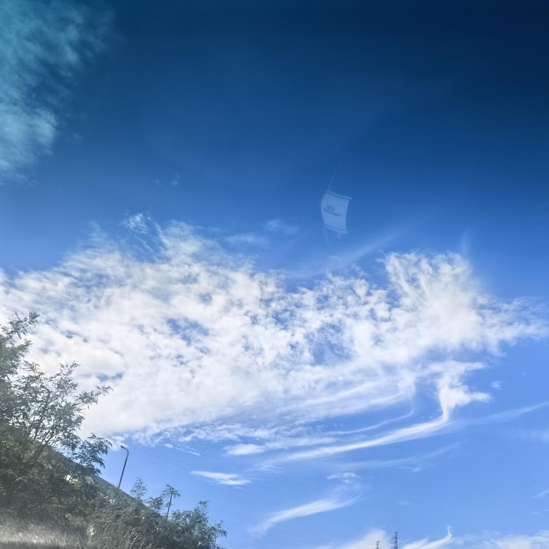 用户6662528681544浓香淡雅