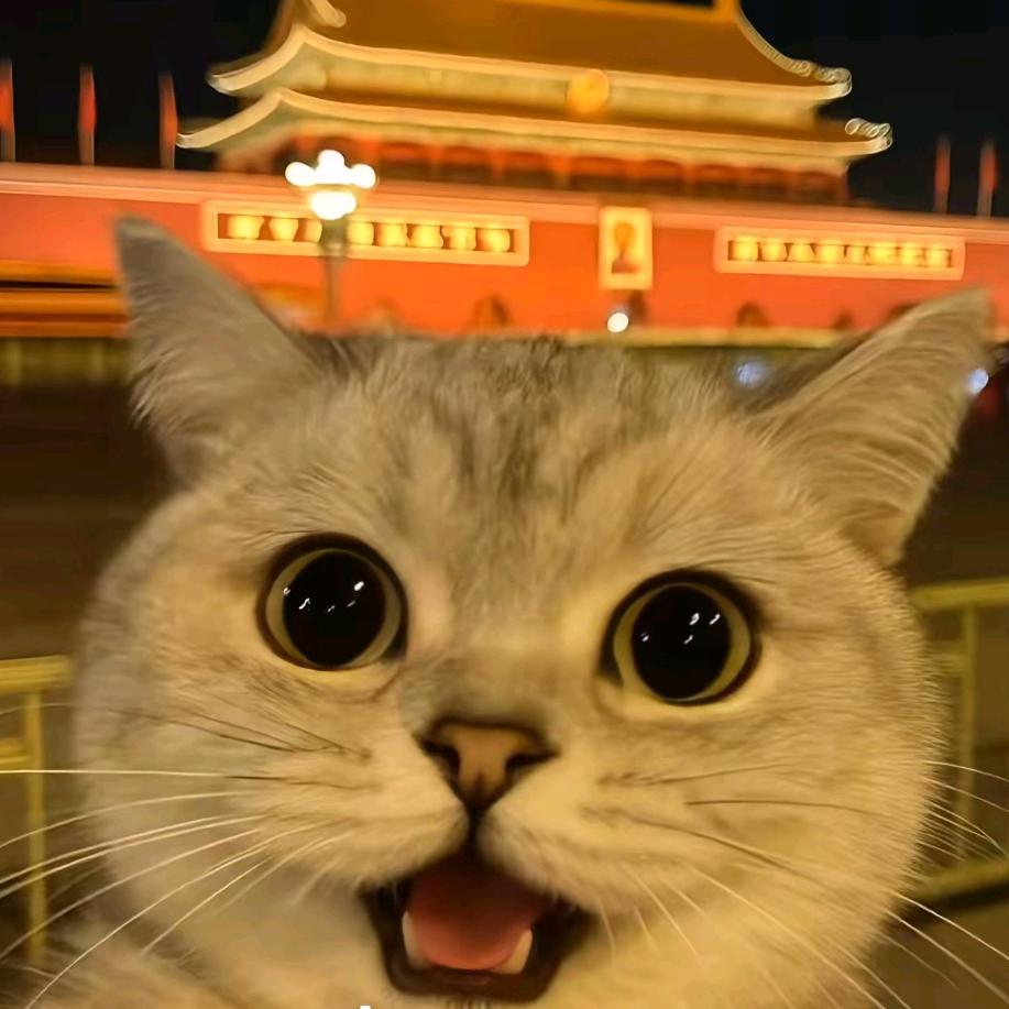 看🎇