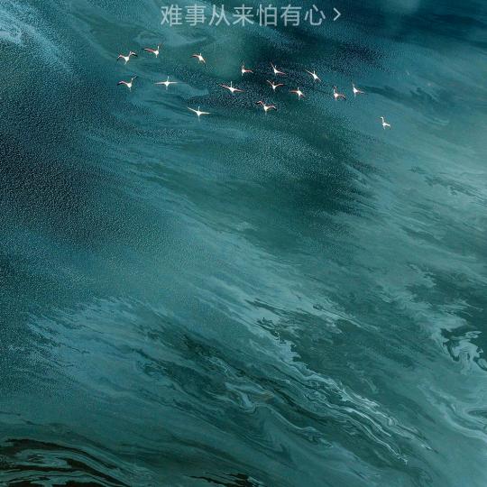 余生爱自已