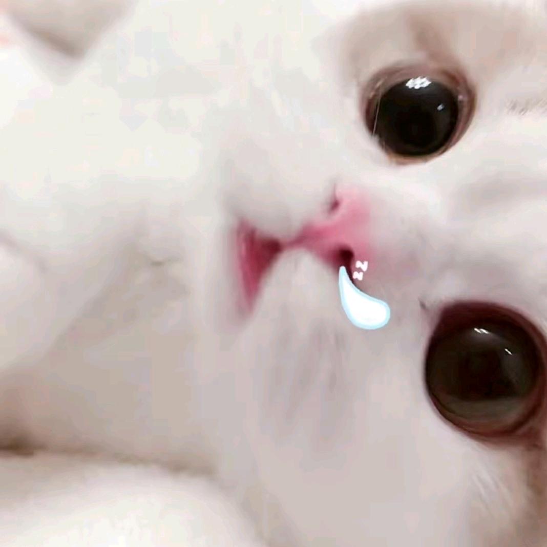 沫