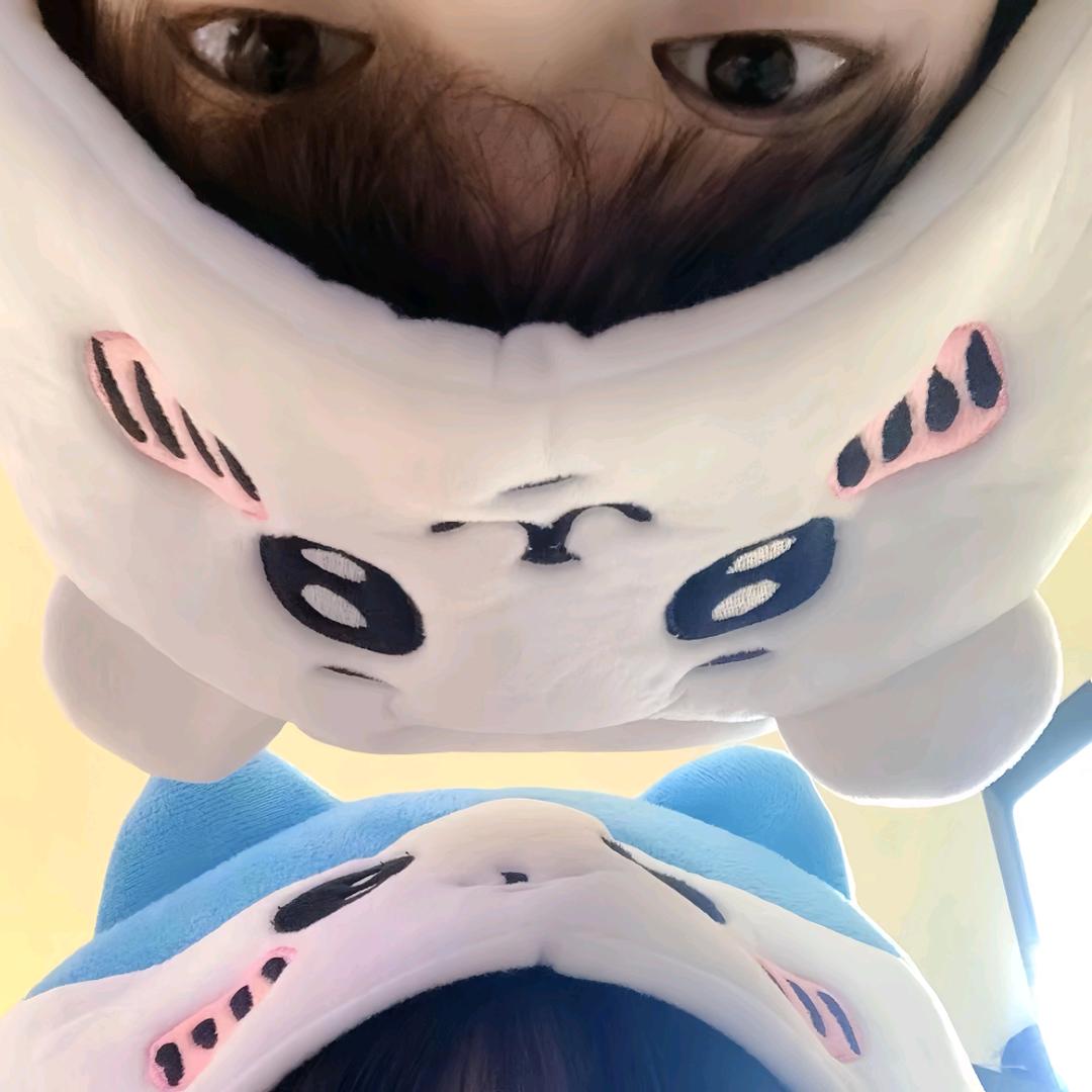 雾意缠绵.