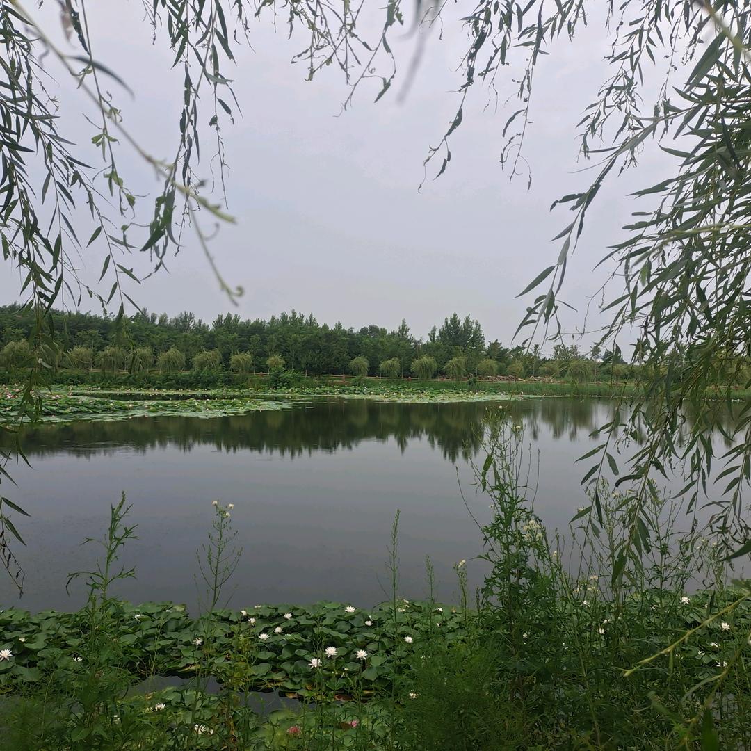 半程山水