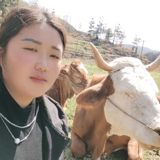 胖妹