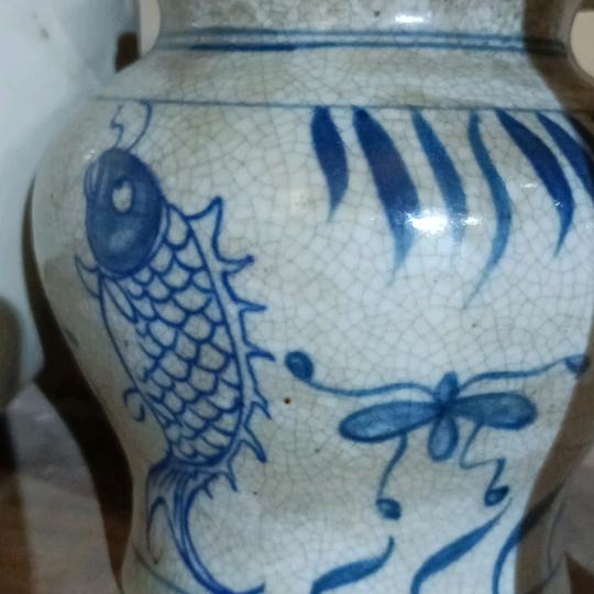 金楠