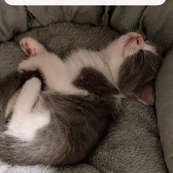 ᝰꪑꪖƙꫀ ɀꫀɾꪮc