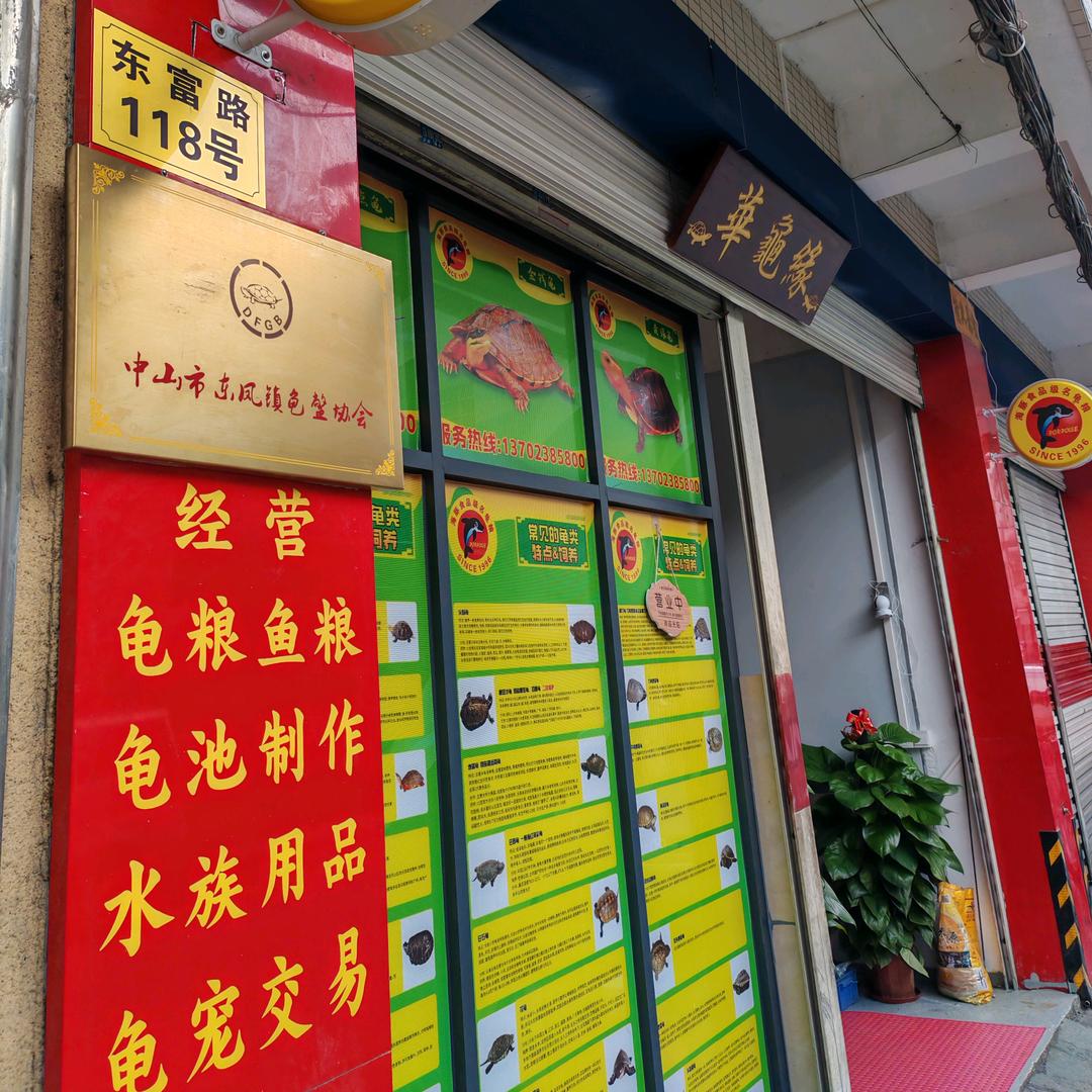 华龟缘