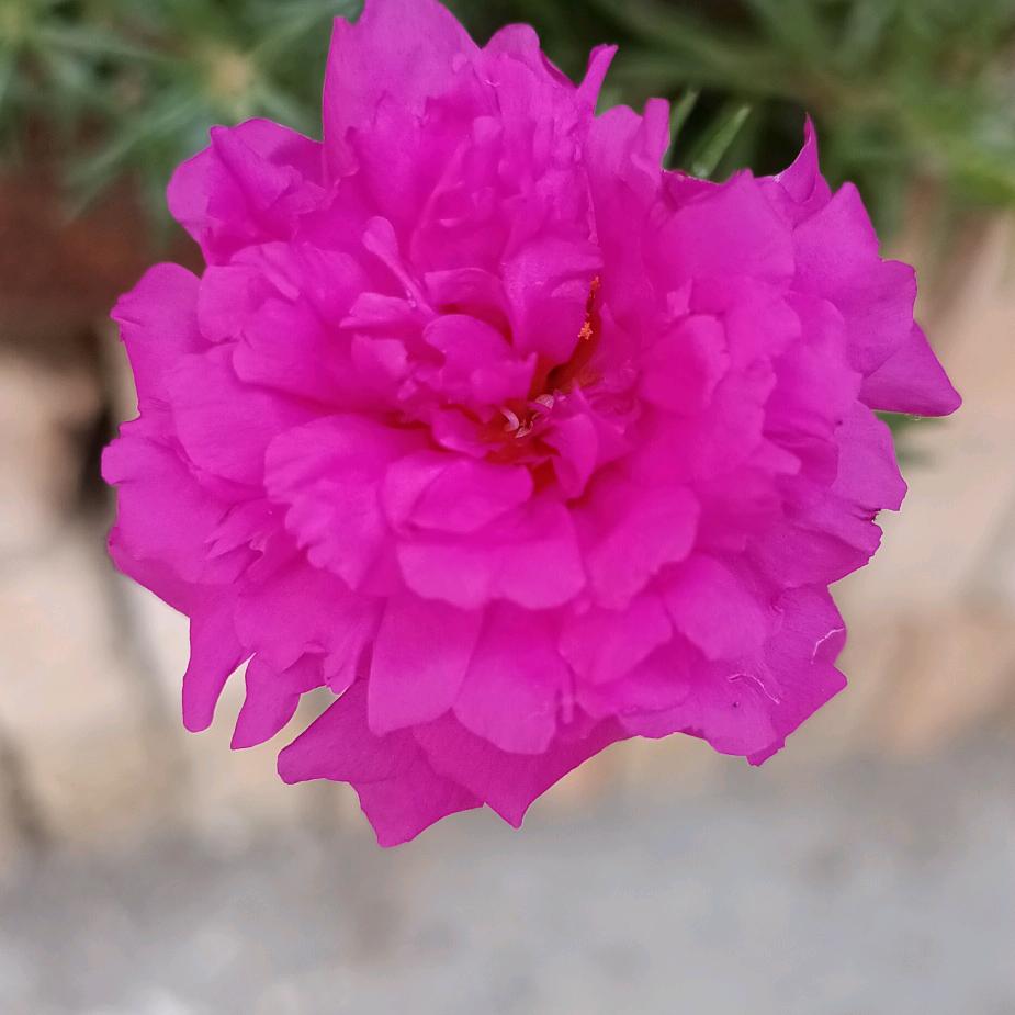 用户7605411317922癸