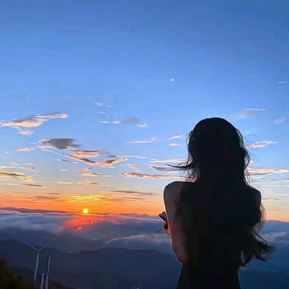 梦之林丨金龙梨园