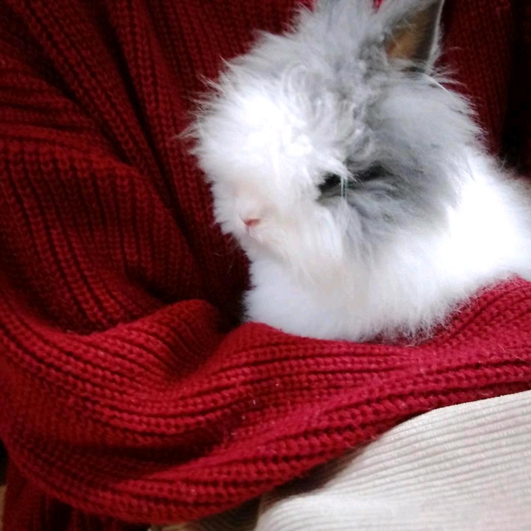 所以我失眠了