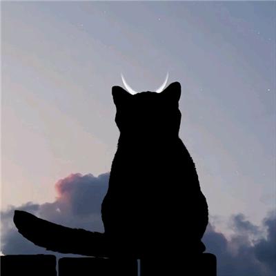 英雄冒险团小杰