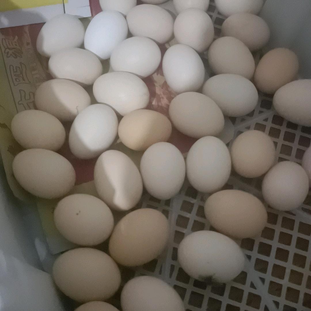 小青😁