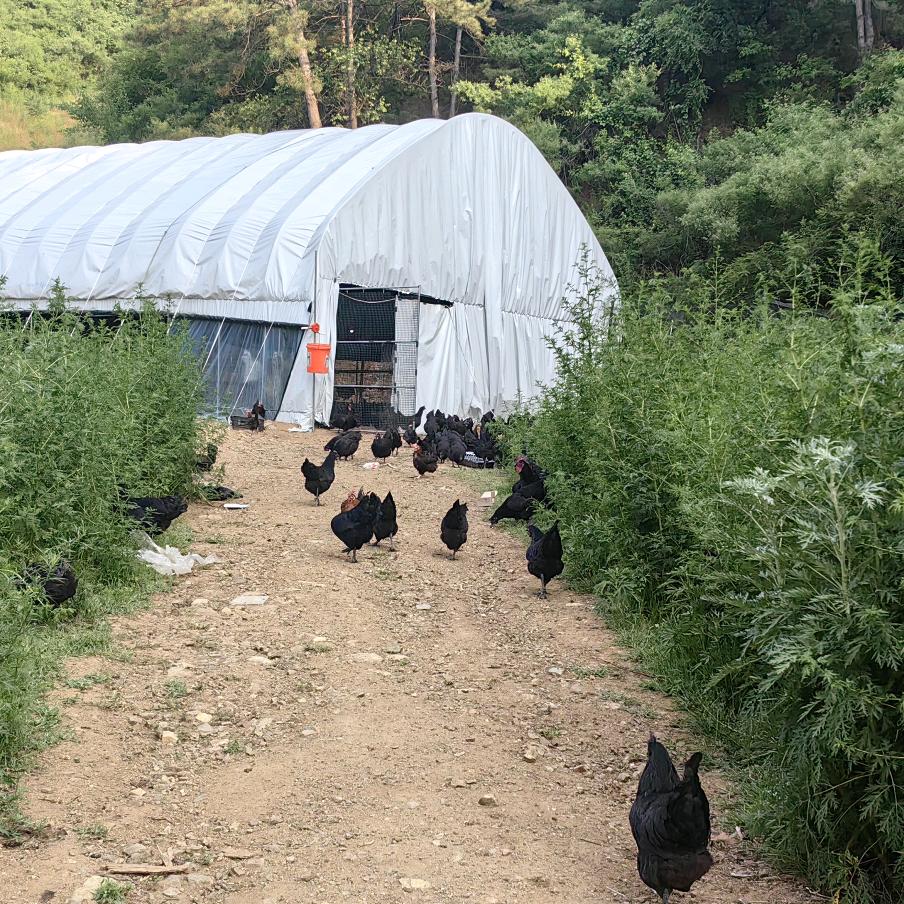 承德新农人斗笠哥