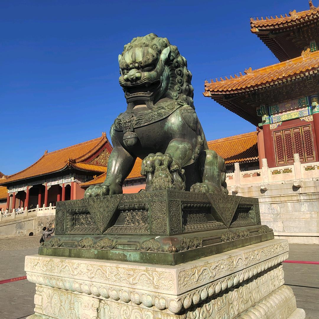 95后创业回农村种地200亩日常