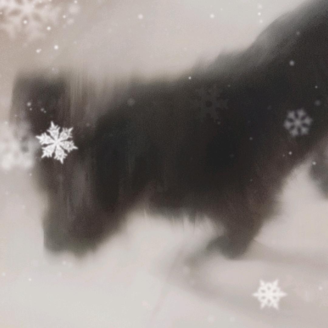 Tom