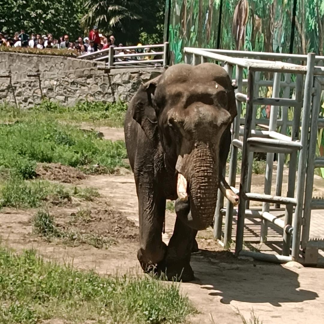 靠谁不如靠自己