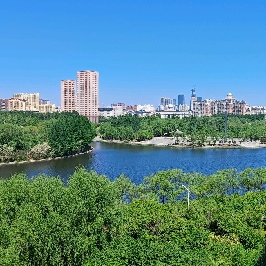 心灵塑师杰斯