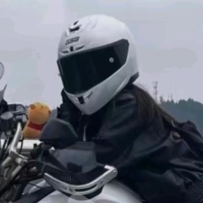 野马