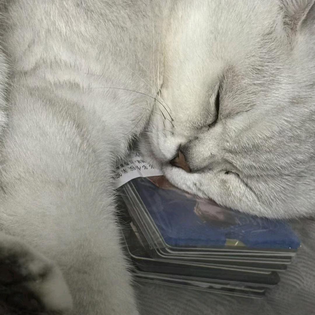 ▶  ||ı|ı||lıı 7＂