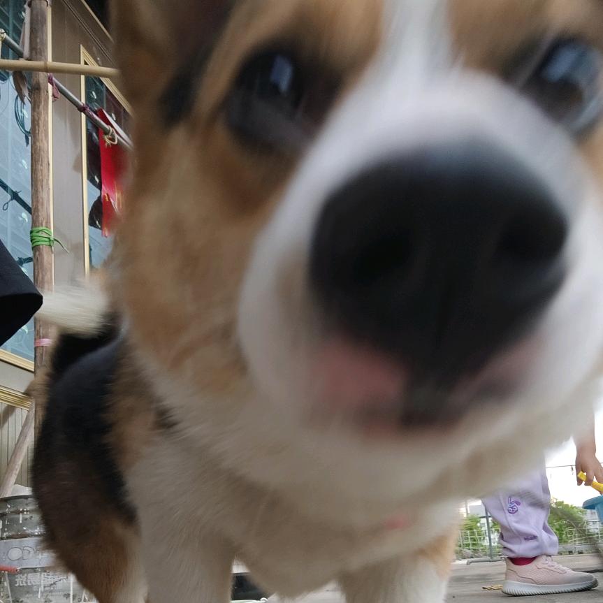我来抓水母啦