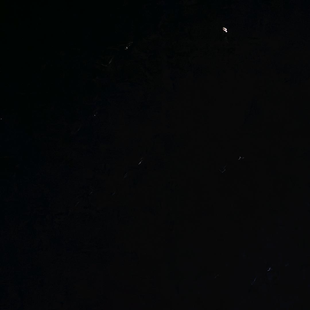 简松林