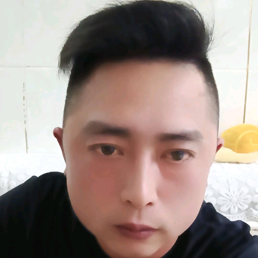 有情怎被无情伤